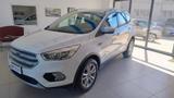 Ford Kuga 1.5 TDCI 120 CV S&S 2WD Titanium - Ford Kuga Kombi Gebrauchtwagen
