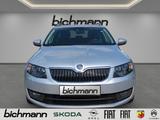 Skoda Octavia Elegance Navi Bix PDCvh 17'' Cli2 GJR - Skoda Gebrauchtwagen von 2013