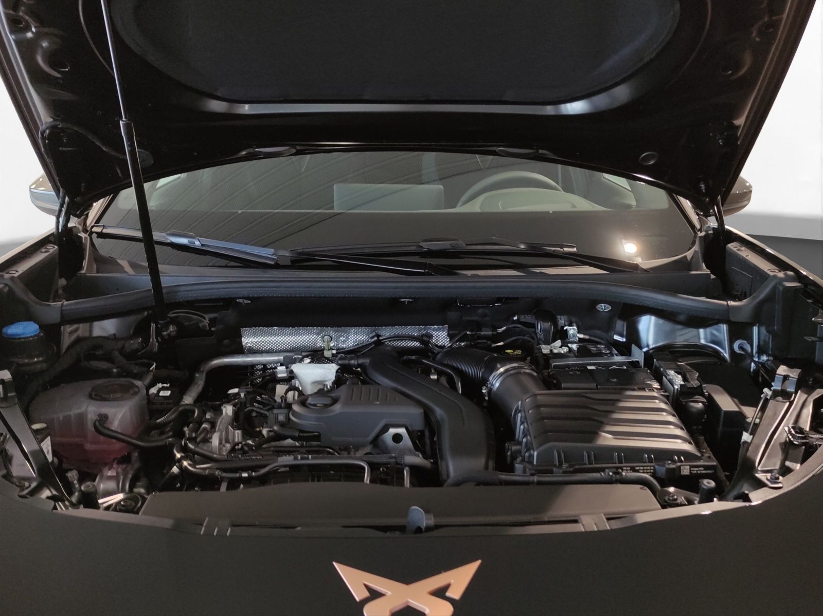 Cupra Terramar - Bild 19