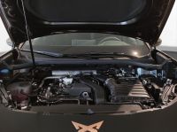 Cupra Terramar - Vorschau Bild 19