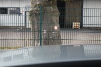 Mazda CX-60 - Vorschau Bild 16