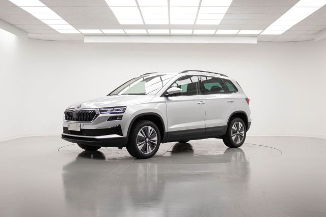 Skoda SKODA KAROQ 2.0 TDI EVO SCR 115 CV DSG