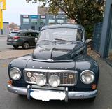 Volvo Oldtimer  . Volvo PV 544 - Volvo: Old