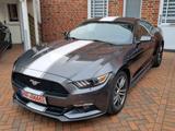 Ford Mustang 2.3 Coupe Autom.+Klima+Kamera+Fernstart+ - Ford Mustang