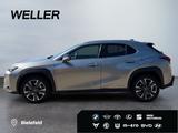 Lexus UX 250h Style Edition *Bi-LED*ACC*CAM*SHZ*CarPla - silberne Lexus UX