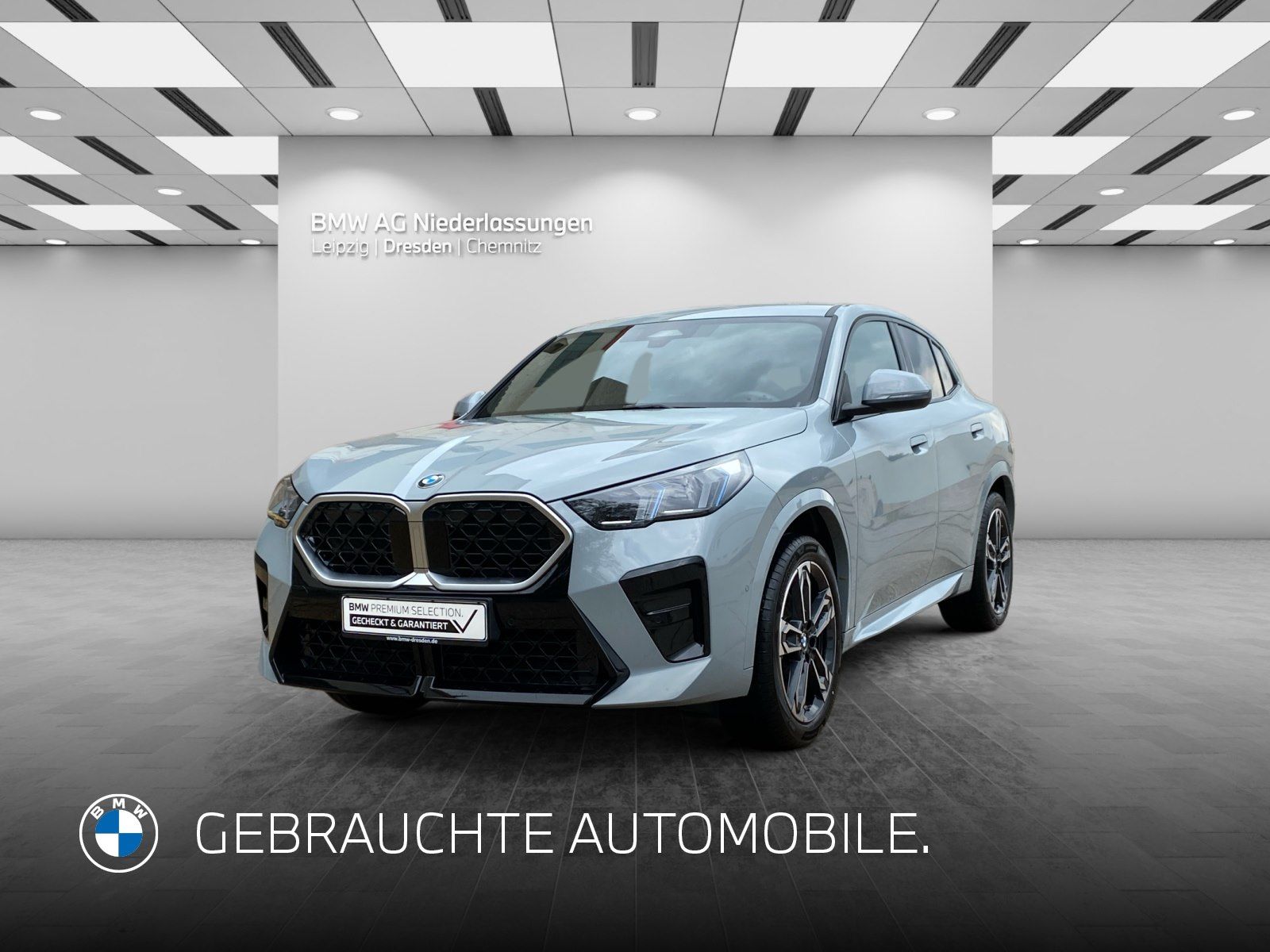 BMW X2 sDrive20i M Sport AHK Driv.Assist Harman K foto 1