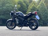 Honda CBF 600NA -PC 43-  12.840 Km - 2009 -TÜV neu- - HONDA 200