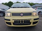 Fiat Panda 1.2 8V Dynamic, Klima, Servo, ZV, el.FH... - Fiat Panda Gebrauchtwagen in Münster