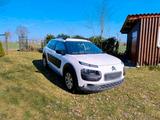 Citroën Citroen C4 Cactus - Citroën C4 Cactus Kombi Gebrauchtwagen