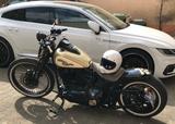 Harley-Davidson Cross Bones - HARLEY-DAVIDSON CHOPPER CROS BONES