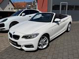 BMW 2 Cabrio 220 i M Sport*NAVI*BI-XENON*SHADOW*KAM - BMW mit Benzin-Antrieb: Alcantara, Cabrio