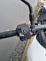 Honda XL 750 Transalp 2025 *auf Lager* - Honda Motorräder in Hannover