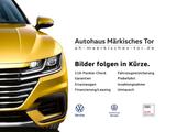 Volkswagen ID.Buzz 150 kW Pro - graue Volkswagen ID. Buzz