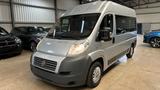 Fiat Ducato  MINIBUS  9 SEATS - gebrauchte Fiat Ducato aus dem Jahr 2014