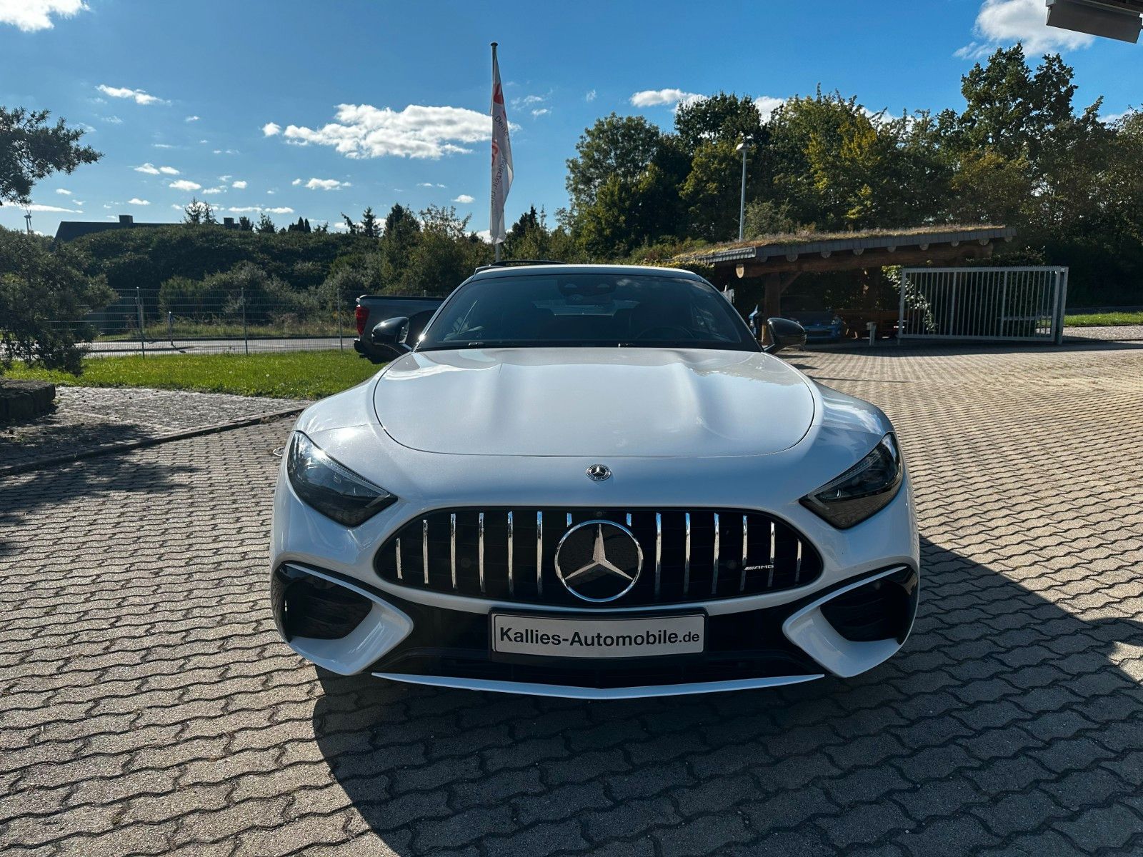 Fahrzeugabbildung Mercedes-Benz SL 43 AMG