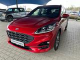Ford Kuga ST-Line X PHEV+LED+iACC+BLIS+PDC+B&O+NAV+DA - Ford Kuga: Geländewagen