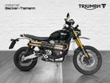 Triumph SCRAMBLER 1200 XE - TRIUMPH SCRAMBLER
