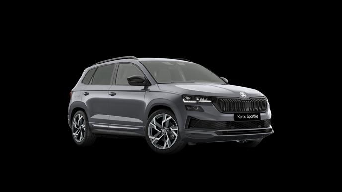 Skoda Karoq - Bild 2
