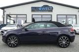 Volkswagen Golf VI 2.0 TDI DSG Cabrio lück.VW-Scheckheft - Volkswagen Golf mit Diesel-Antrieb: Cabrio, 2.0