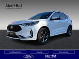 Ford Kuga ST-Line X ACC, 360°, Winterpkt, Ganzjahres