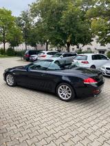 BMW 630i Cabrio - tüv neu servis neu - BMW 630 in München