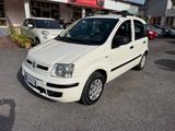 Fiat Panda 1.3 MJT 16V DPF Active - Fiat Panda Active mit Diesel-Antrieb