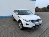 Land Rover Range Rover Evoque 2.2 eD4  - Land Rover Range Rover Evoque in Braunschweig