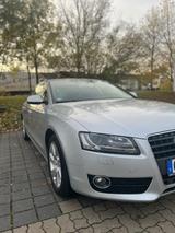 Audi A5 2.0 TFSI 132kW Sportback - - Audi A5 aus 2010: Sportback