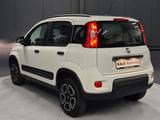 Fiat Panda City Life *KLIMA*1.HAND nur 4.000 km* - Fiat Panda: Km H