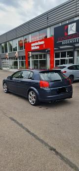 Opel Signum 2.8 V6 Turbo 250 PS | 2006 | - Opel Signum: 2.8