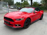Ford Mustang 5.0 Ti-VCT V8 GT Automatik Kamera Leder - Ford Mustang Unfallwagen