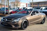 Mercedes-Benz E220 Cab. Avantgarde # Leder # AirScarf # Faceli - gebrauchte Mercedes-Benz E 220 aus dem Jahr 2013