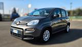 Fiat Panda 1.0 FireFly S&S Hybrid City Life - mit Hybrid-Antrieb: Taxi