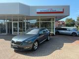 Skoda Superb Combi Ambition *SERVICE NEU*KAMERA