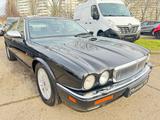 Jaguar Daimler 6.0 V12 Double Six Auto Lang/ Voll - Jaguar: 12