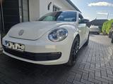 Volkswagen Beetle 1.2 TSI - 19 Zoll Alufelgen - 2. Hand  - VW Beetle Gebrauchtwagen in Bremen