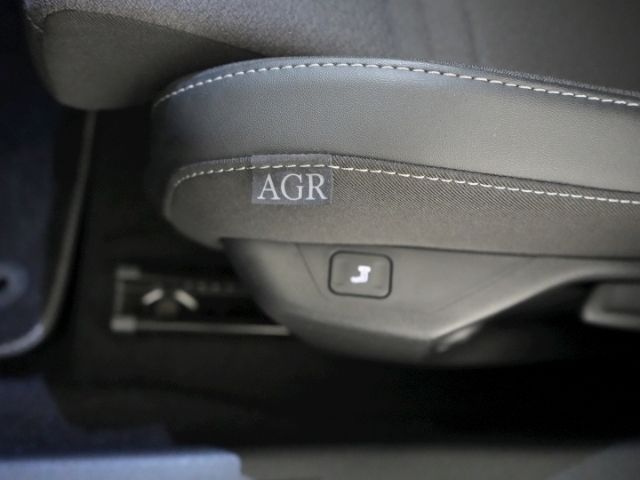 Astra L LIM GS AT+AHK+LED+360 GRAD KAMERA+SITZ-/