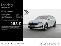 Skoda Octavia - Vorschau Bild 1