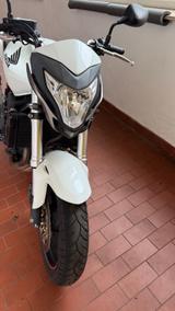 Honda Hornet CB 600 F ( PC 41) - Offers