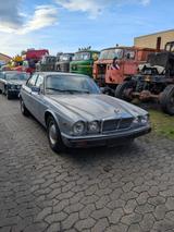 Jaguar XJ 6 3,4L Serie III Scheunenfund - Jaguar: Iii
