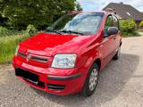 Fiat Panda - Fiat Panda: Rot