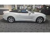 Chevrolet Camaro 2.0 L Turbo Cabrio KLIMAAUTOMATIK - Chevrolet Camaro mit Benzin-Antrieb: Cabrio