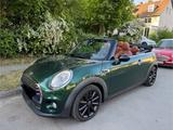 MINI Cooper Cabrio British Racing Green Leder - MINI Cooper Cabrio in Berlin