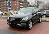 Mercedes-Benz Mercedes ML 350 AMG line Vollausstattung - Mercedes-Benz ML 350 Gebrauchtwagen in Hamburg
