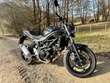 Suzuki Motorrad Naked-Bike - Suzuki SV 650 76PS EZO3/17 - SUZUKI SV 650 N