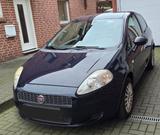 Fiat Punto 1.2 8V -129 tkm, 1. Hd, sehr zuverlässig - Fiat Punto in Essen