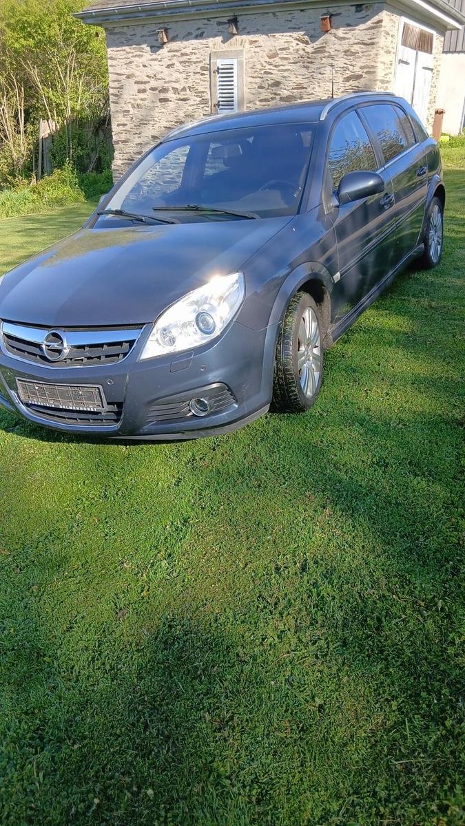 Opel Signum 2006 — photo 5