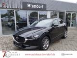 Mazda CX-30 Selection 122 Design|Activ|Navi|18" Zoll - Mazda: De
