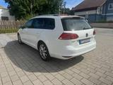 Volkswagen Golf 1.4 TSI 92kW BMT Highline Variant Highline - Volkswagen Golf: 1.9