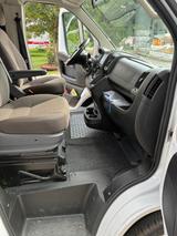 Fiat Ducato Panorama mit Wohnmobil-Spezialausbau - Fiat Ducato: Panorama